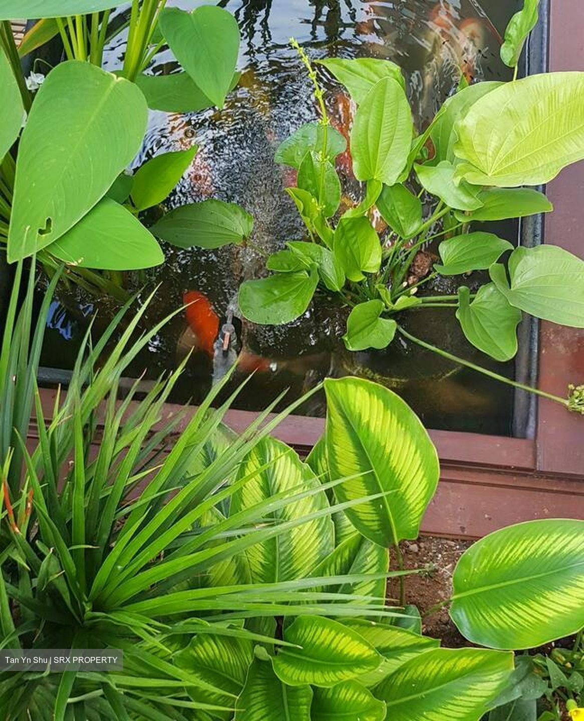 Braddell Heights Estate (D13), Detached #467805861